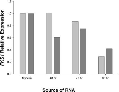 FIG. 2.