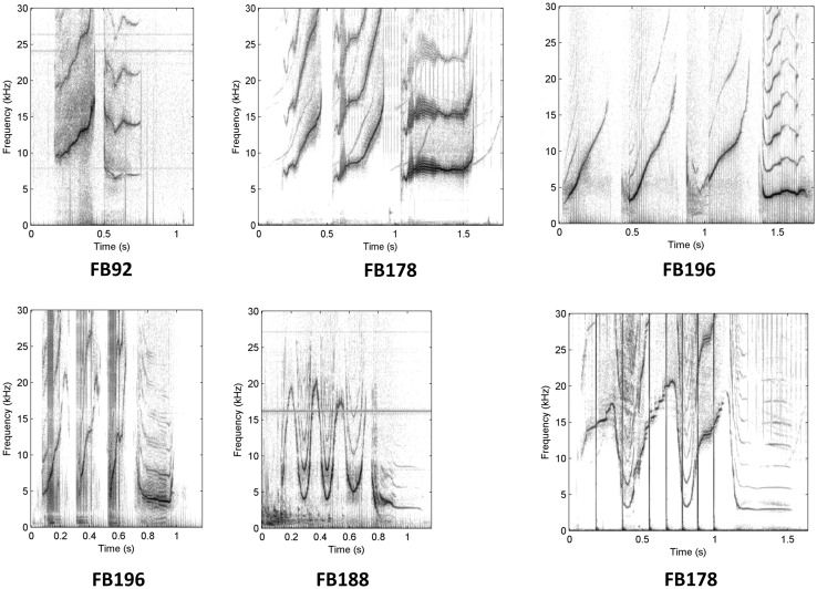 Fig. 4