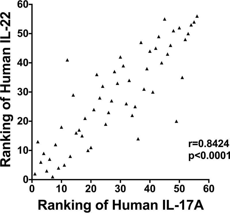 FIG 6