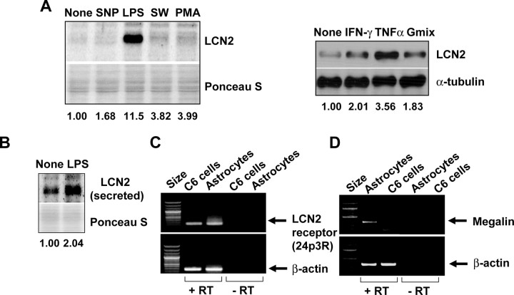 Figure 5.