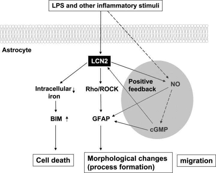 Figure 12.