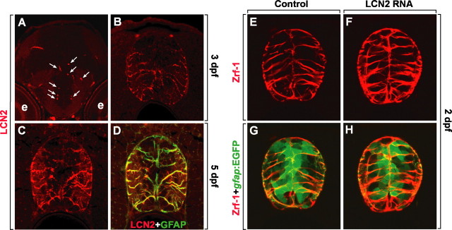 Figure 11.