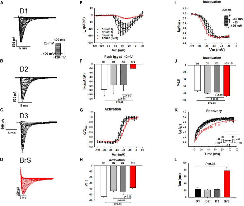 FIGURE 3