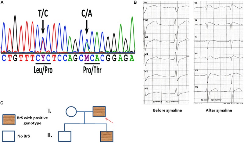 FIGURE 1