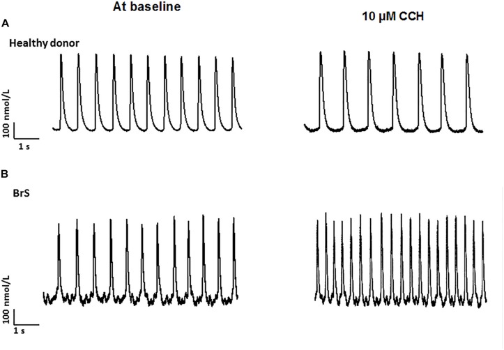 FIGURE 7