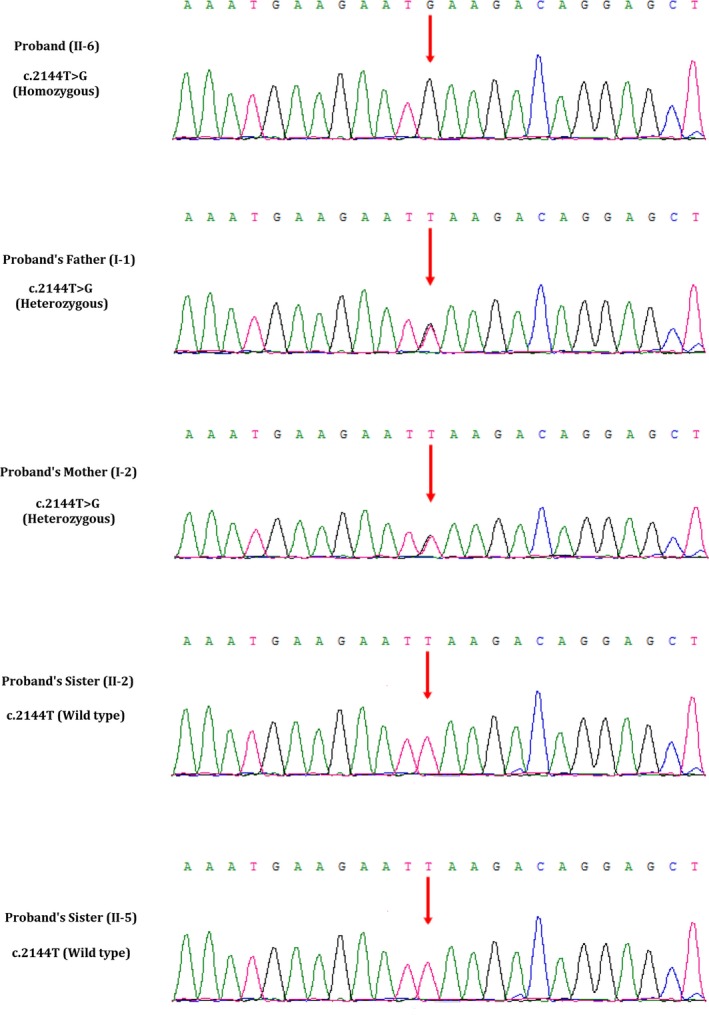 Figure 5