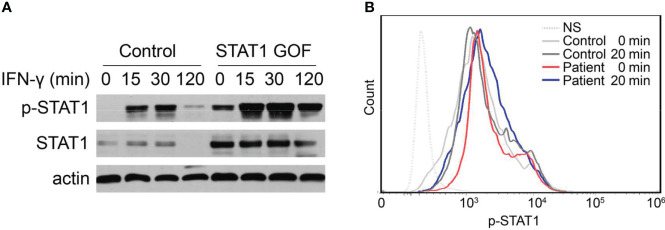 Figure 3