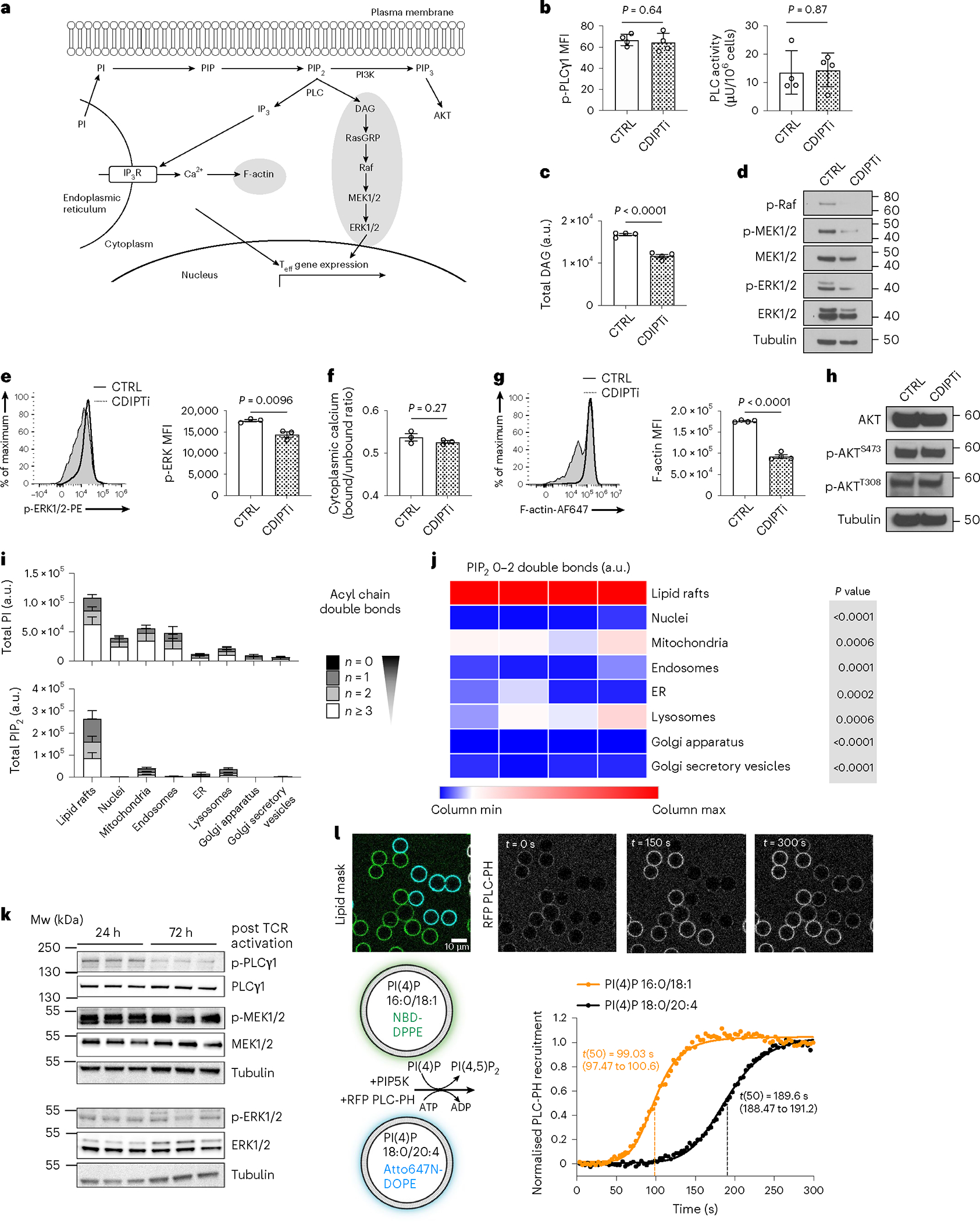 Fig. 4 |