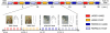 Fig. 1.