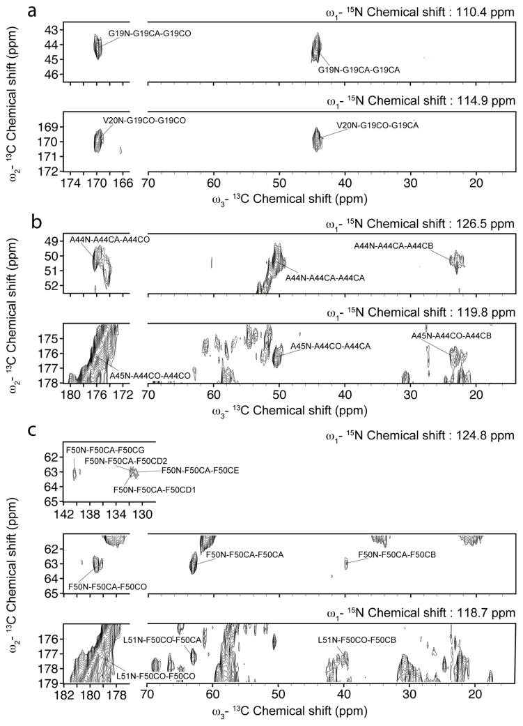 Fig. 8