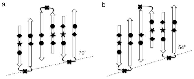 Fig. 10