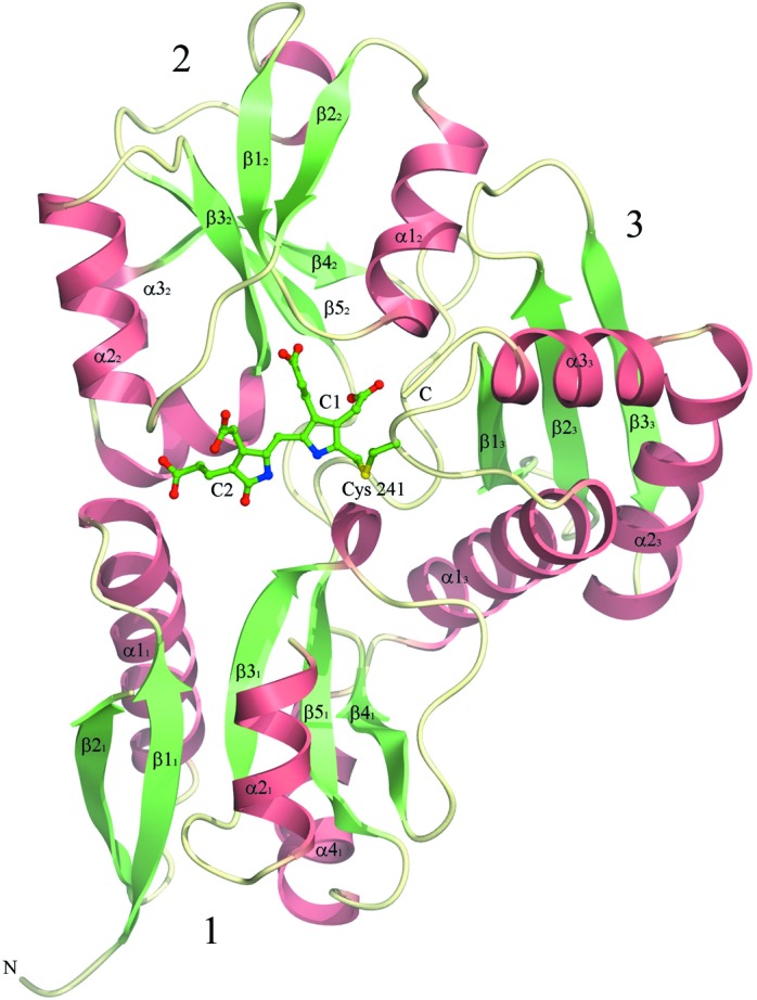 Figure 3