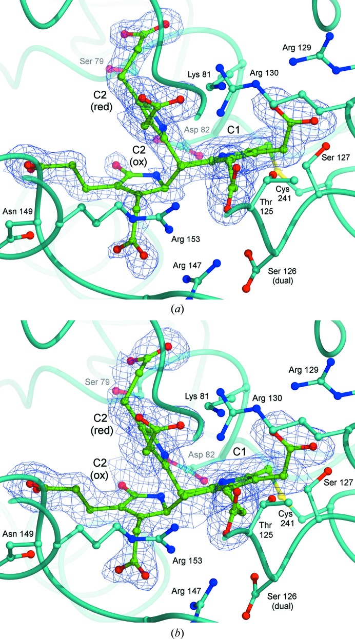 Figure 6