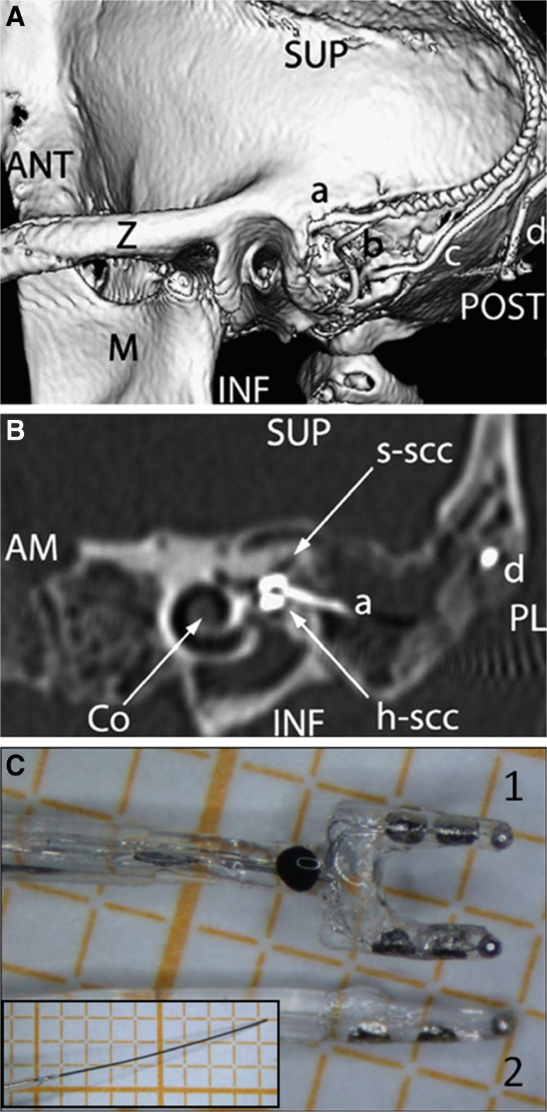 Fig. 7