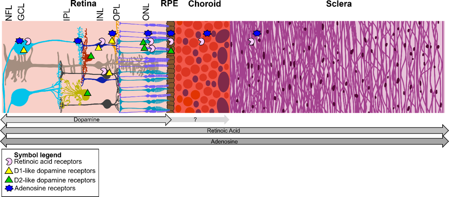 Figure 2: