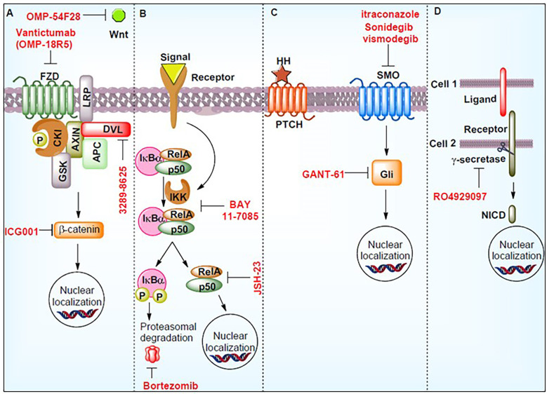 Figure 5