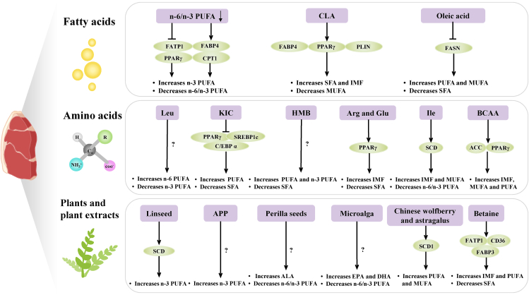 Fig. 6