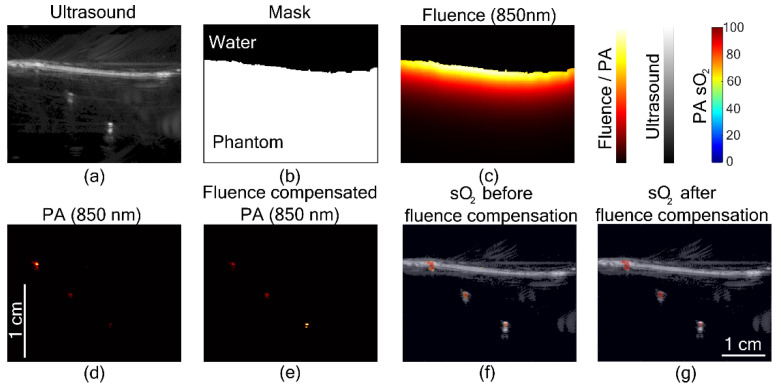 graphic file with name sensors-22-04839-g004.jpg