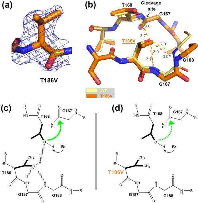 FIGURE 3