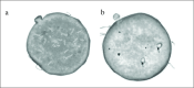 Figure 2. a, b