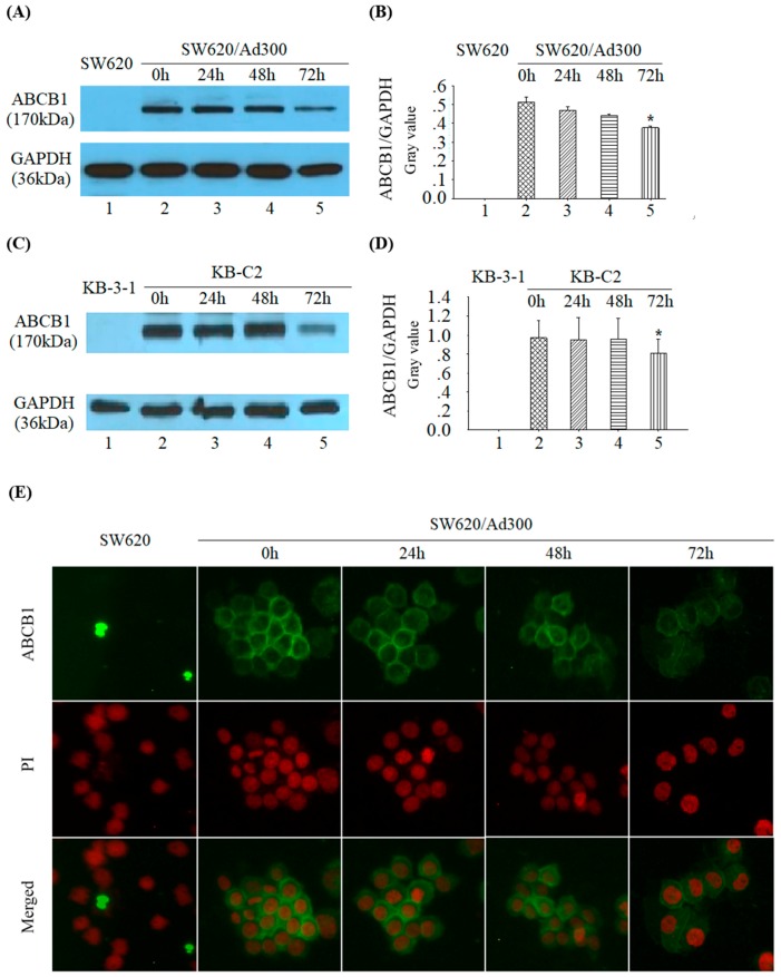 Figure 6