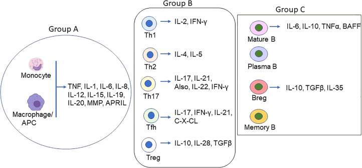 Figure 1