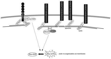 Fig. 11.