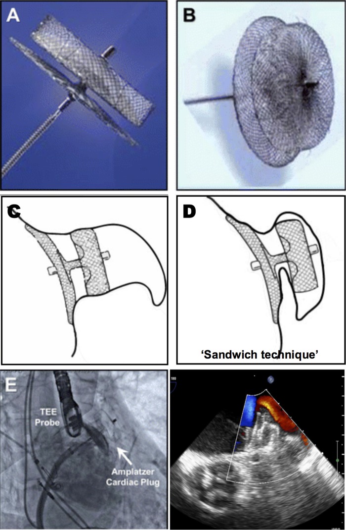 Figure 6