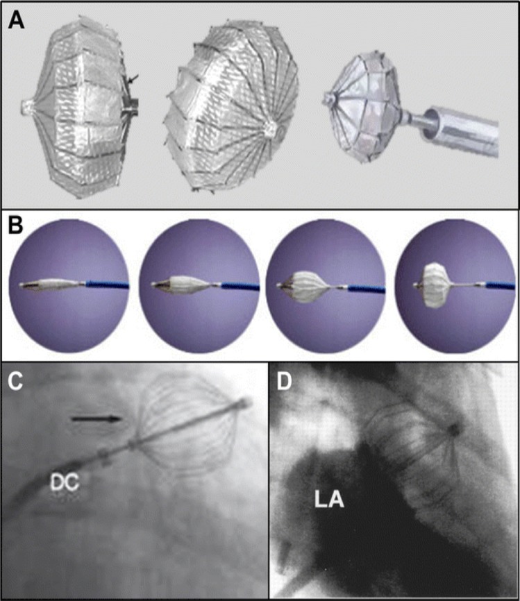 Figure 4