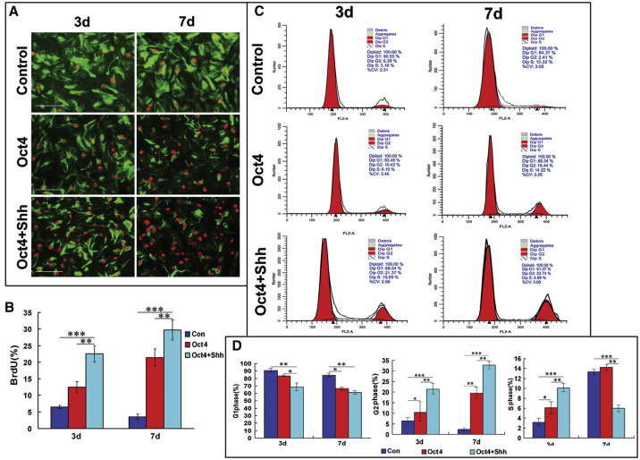 Figure 4