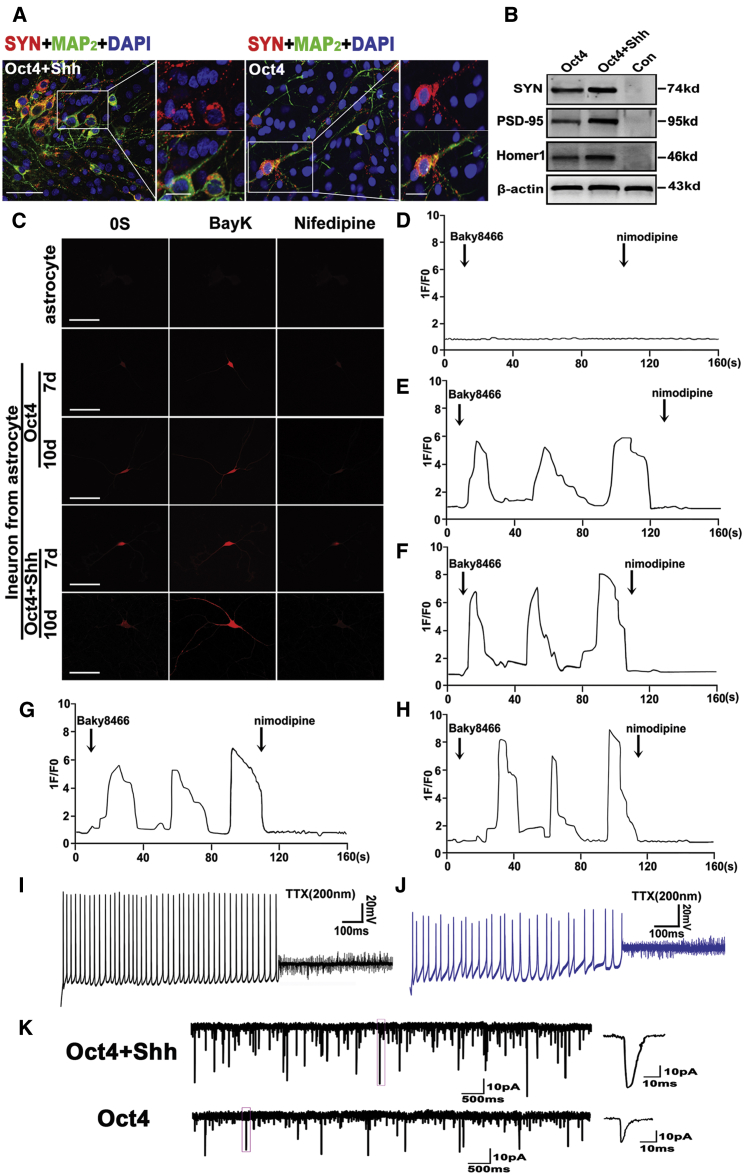 Figure 6