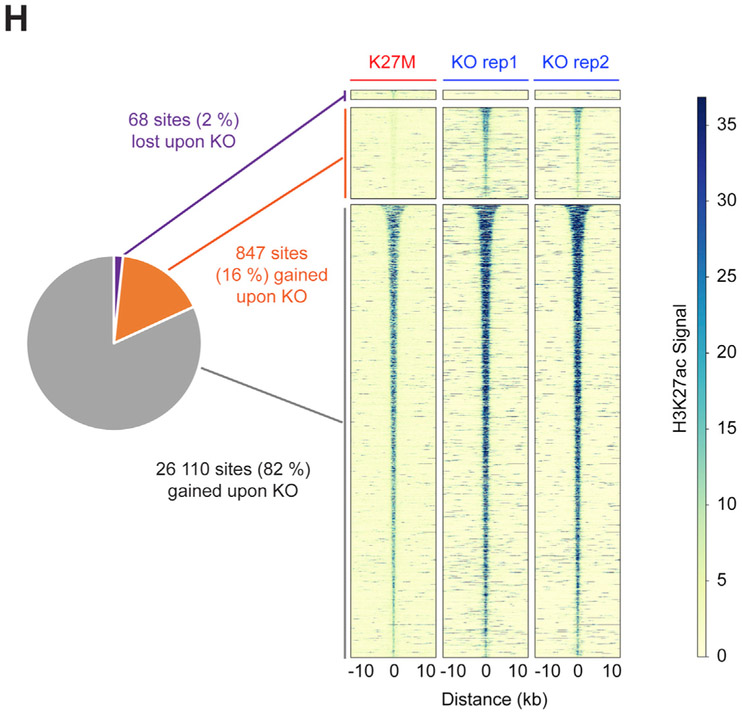 graphic file with name nihms-1064684-f0002.jpg