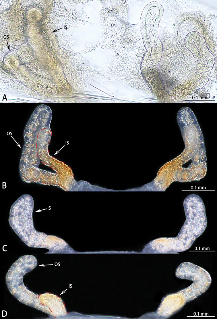 Figure 5.