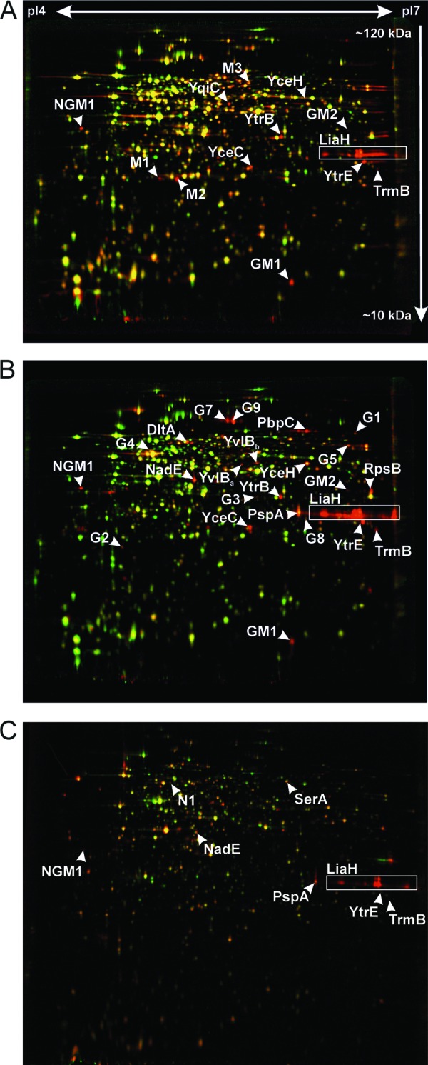 Fig 4