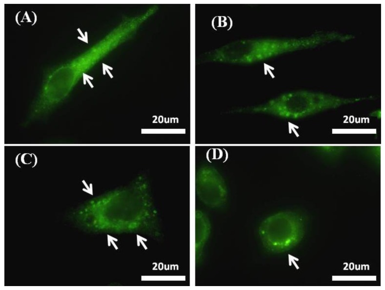 Figure 7.