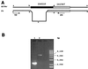 FIG. 6