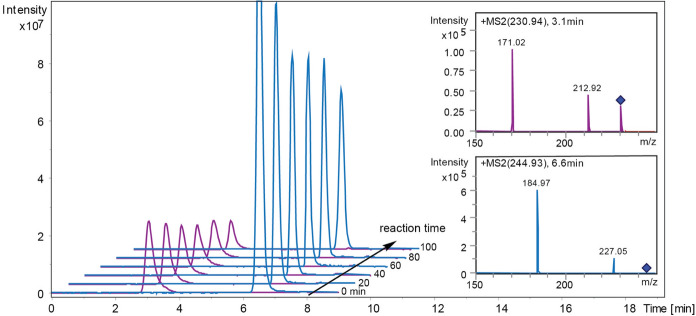 Fig. 2