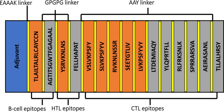 Figure 3.