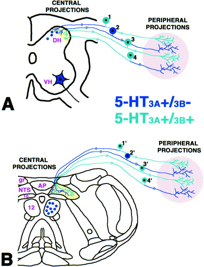 Fig. 9.