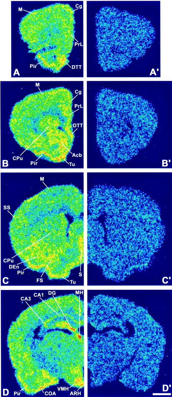 Fig. 1.