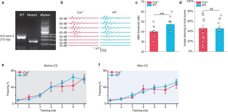 Figure 1—figure supplement 1.