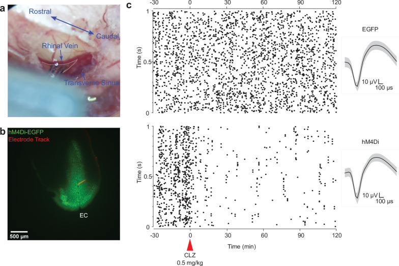 Figure 4—figure supplement 1.