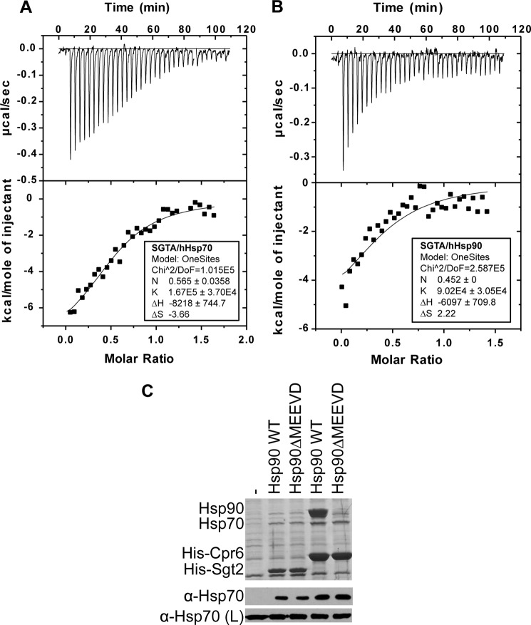 FIGURE 5.