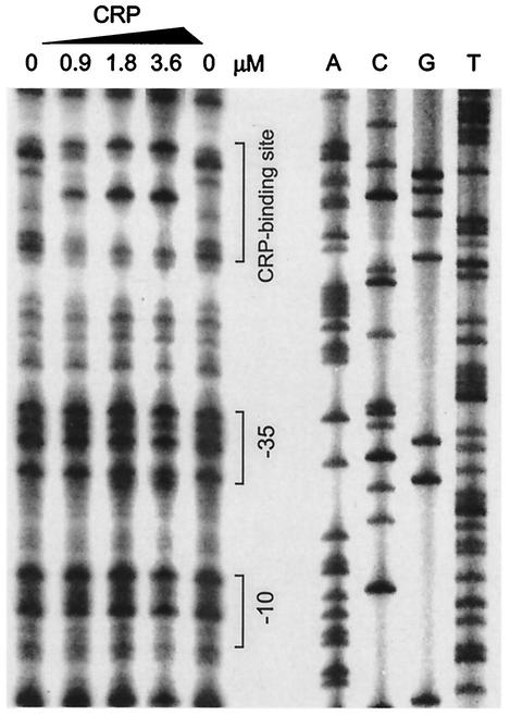 FIG. 5.