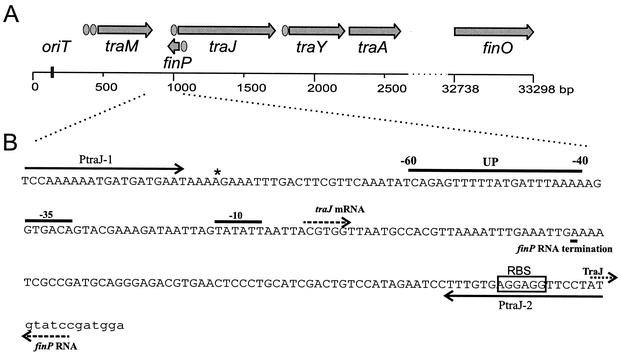 FIG. 1.