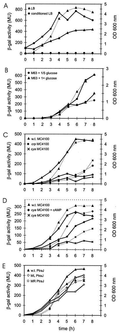 FIG. 2.