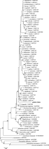 FIG. 3.