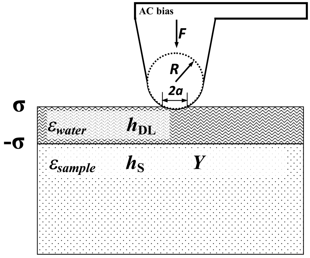 Fig. 5