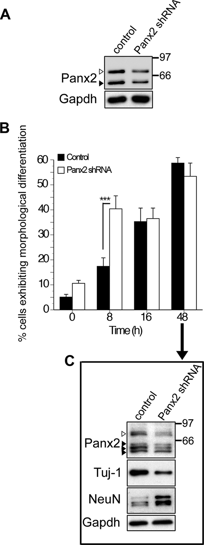 FIGURE 7.