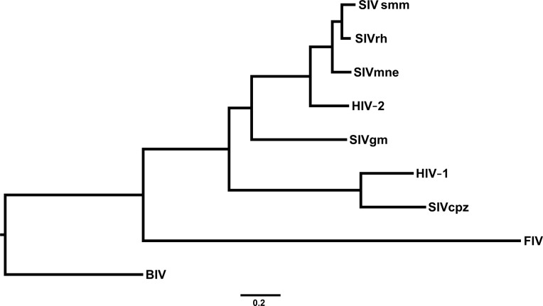 Fig 5